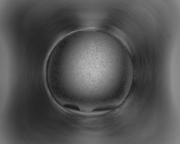 X0000093111483200710031307