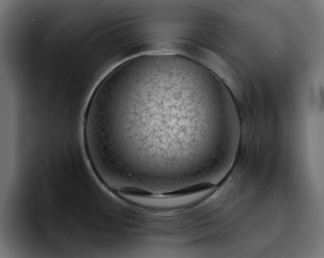 X0000093111484200710031307