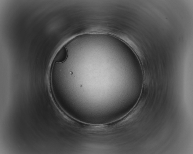 X0000093111486200710031307