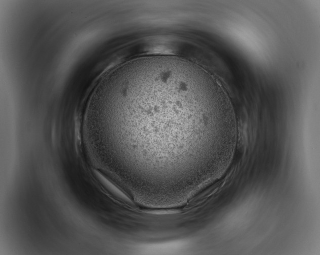 X0000093111487200710031307