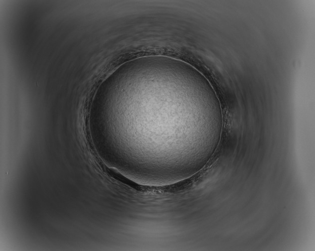 X0000093111489200710031306