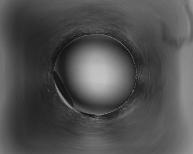 X0000093111490200710031306