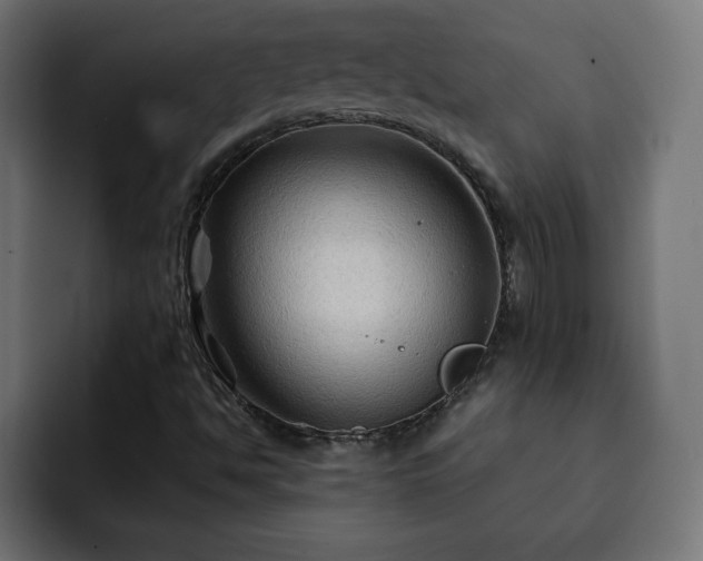 X0000093111494200710031306