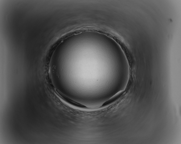 X0000093111496200710031306