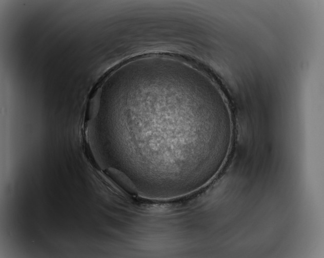 X0000093111497200710031306