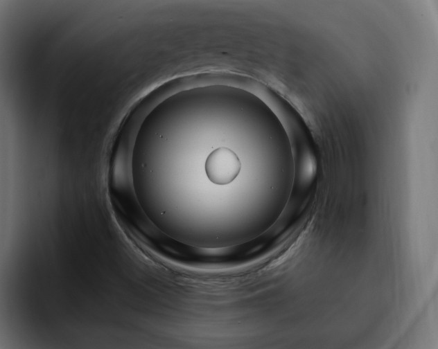 X0000093111500200710031306