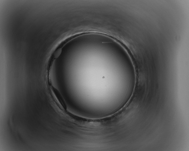X0000093111503200710031306