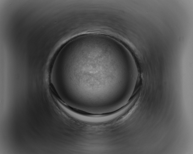 X0000093111506200710031307