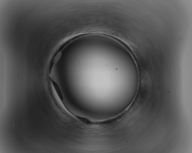 X0000093111507200710031307