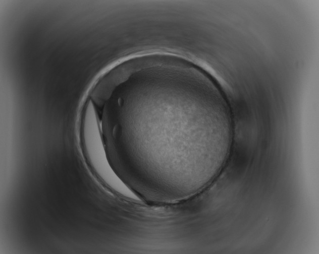 X0000093111508200710031307