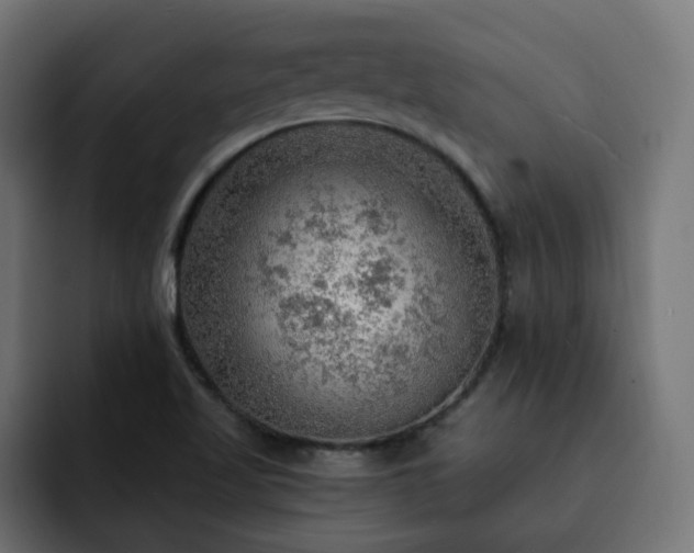 X0000093111509200710031307