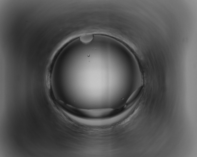 X0000093111510200710031307