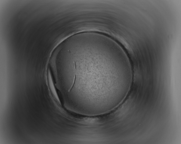 X0000093111513200710031307