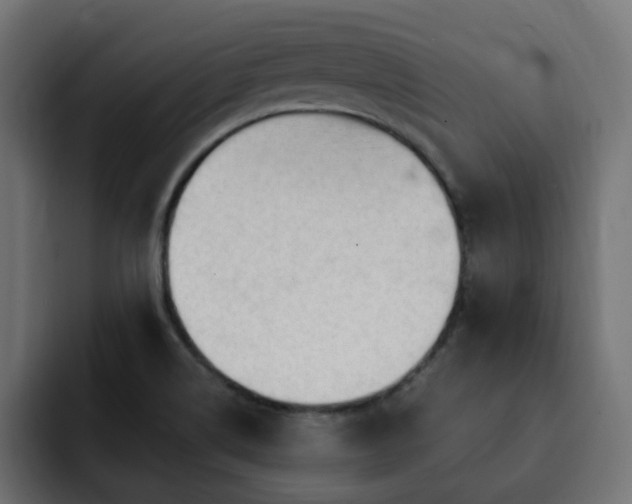 X0000093111514200710031307