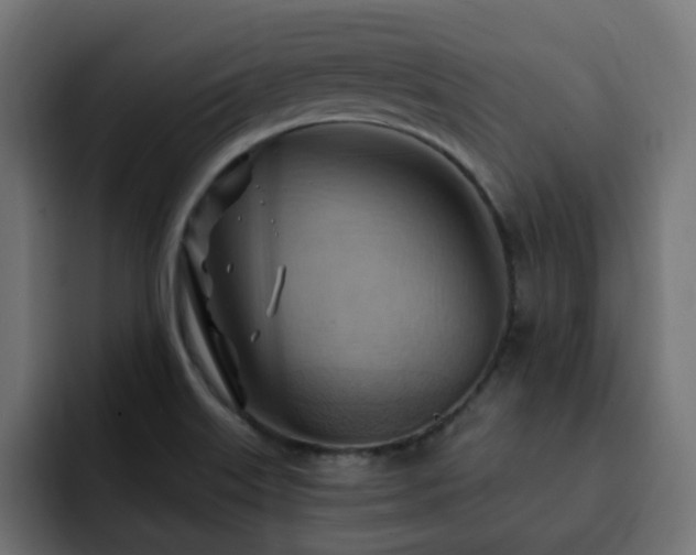 X0000093111515200710031307