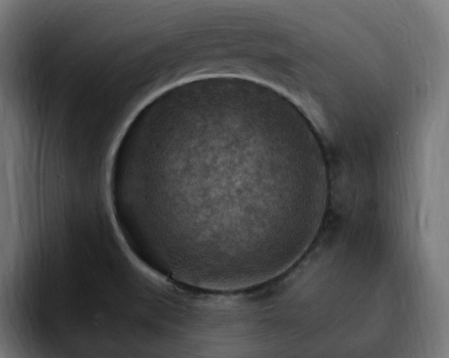 X0000093111519200710031307