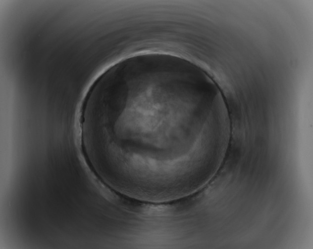 X0000093111522200710031307
