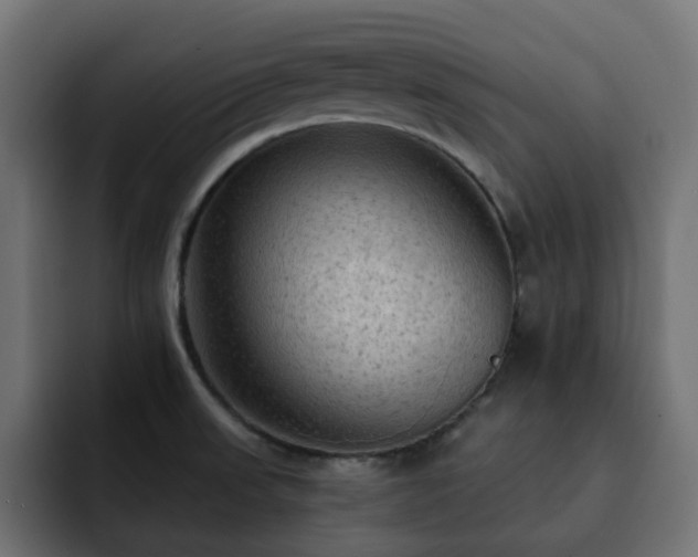 X0000093111523200710031307