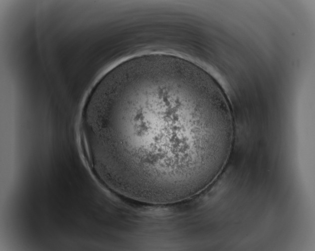 X0000093111525200710031307