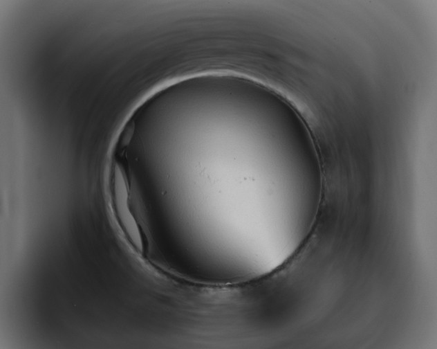 X0000093111526200710031307