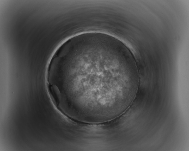 X0000093111527200710031307