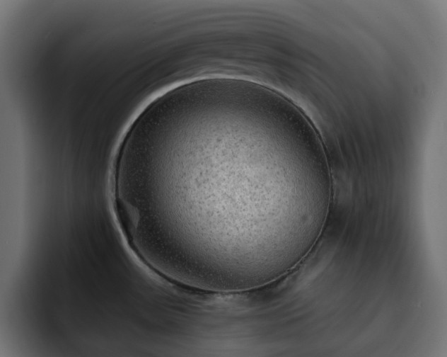 X0000093111531200710031307