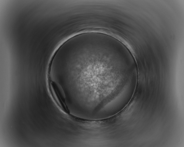 X0000093111533200710031307