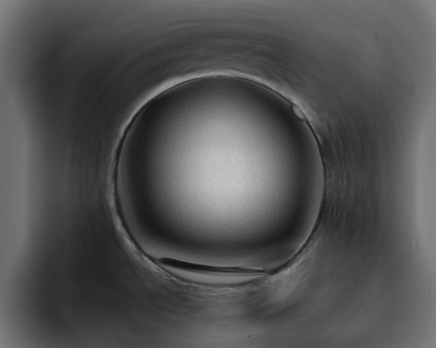 X0000093111534200710031307