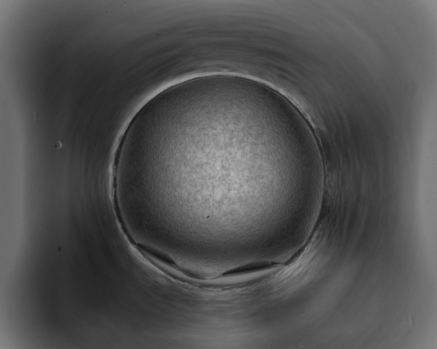 X0000093111535200710031307