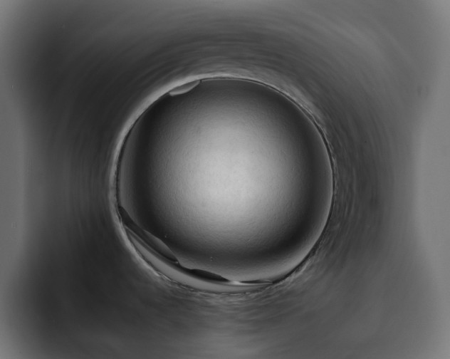 X0000093111536200710031307