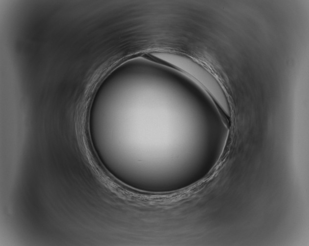 X0000093110001200710101030