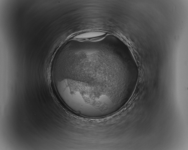 X0000093110002200710101030