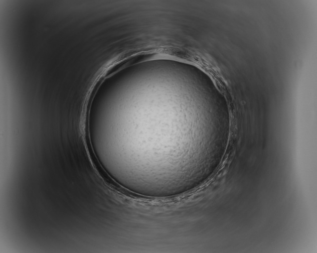 X0000093110003200710101030