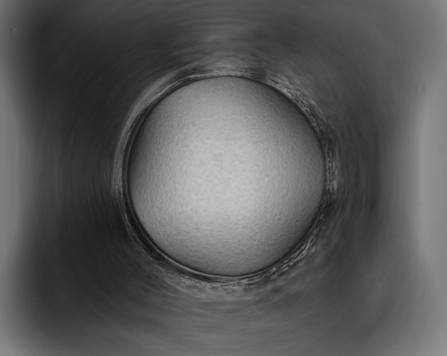 X0000093110004200710101030