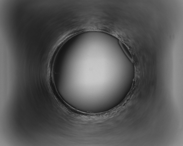 X0000093110005200710101030