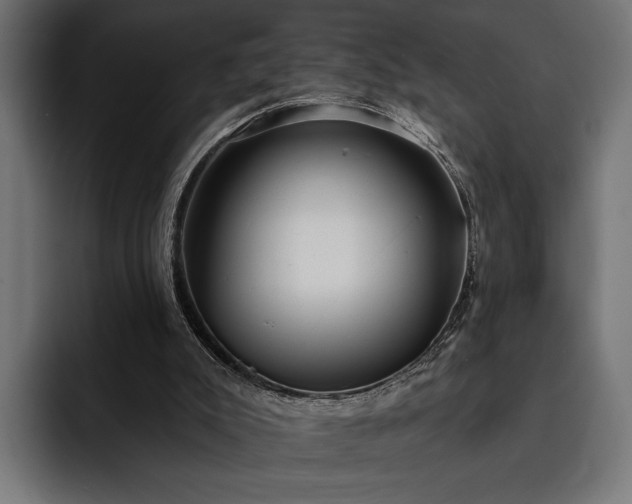 X0000093110007200710101030