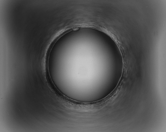 X0000093110008200710101030