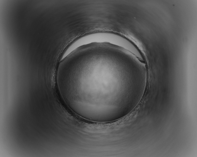 X0000093110009200710101030