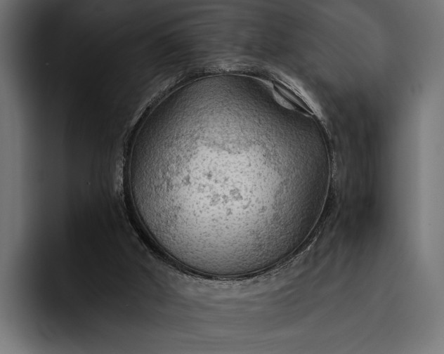 X0000093110010200710101030