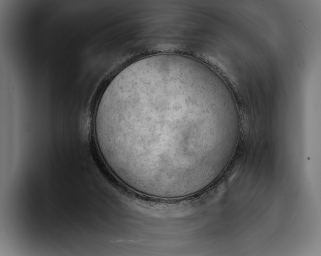 X0000093110016200710101030