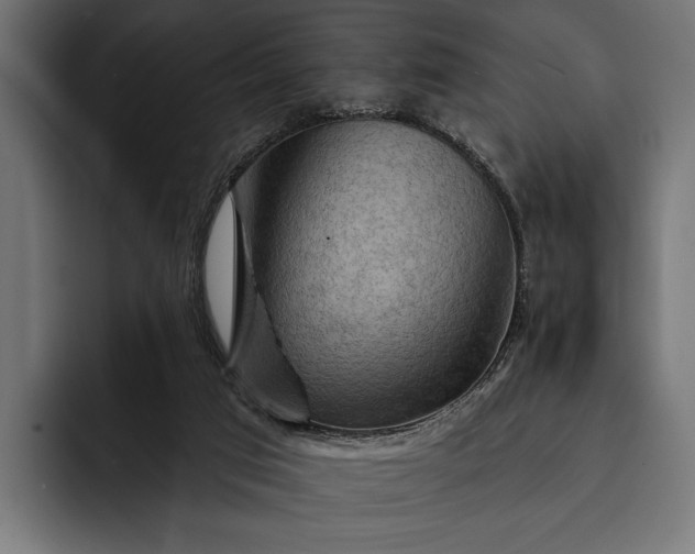 X0000093110017200710101030