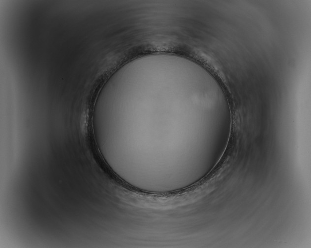 X0000093110018200710101030