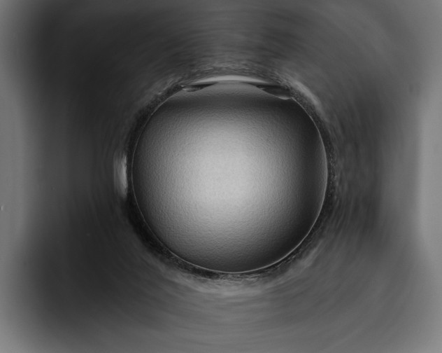 X0000093110020200710101030