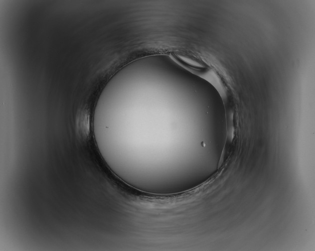 X0000093110021200710101030