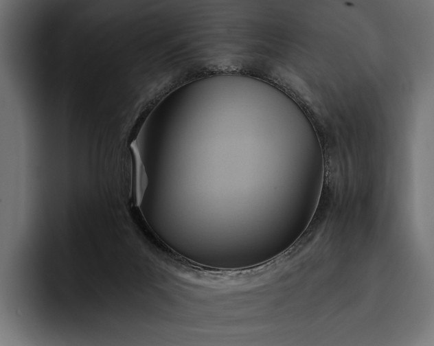 X0000093110023200710101030