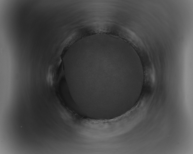 X0000093110029200710101030