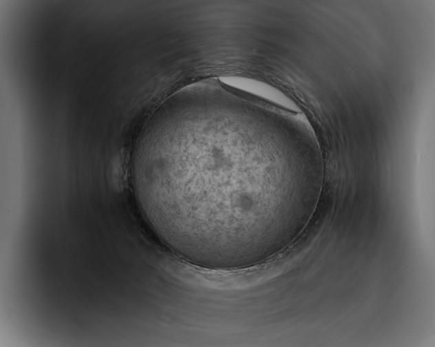 X0000093110030200710101030