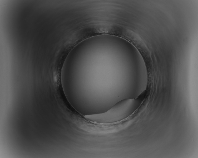 X0000093110031200710101030