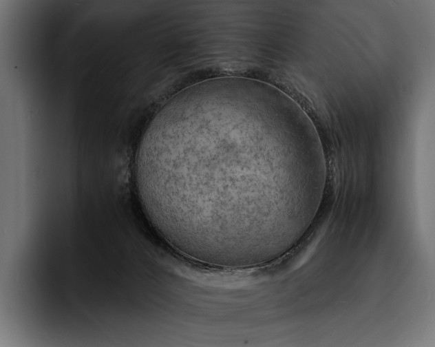 X0000093110032200710101030