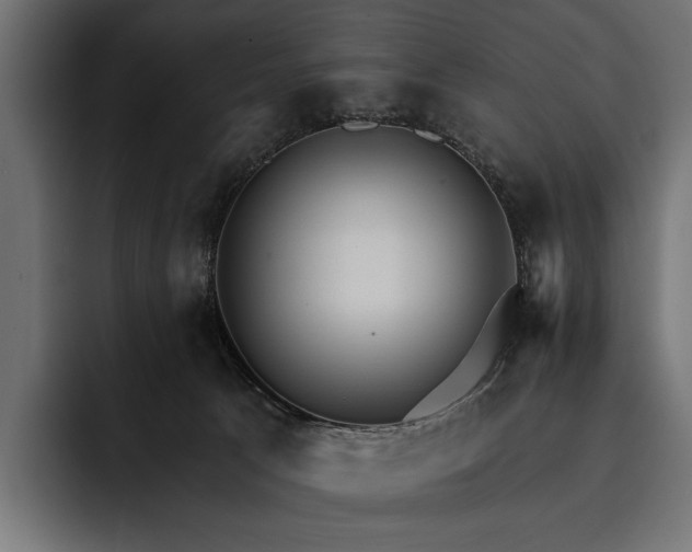 X0000093110033200710101030